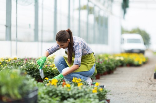 Sustainable garden features including rainwater harvesting
