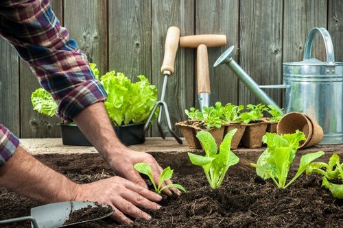 Revitalized and clutter-free garden in Mortlake