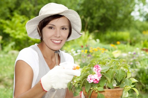 Bank transfer and PayPal options visual for Mortlake gardening payments