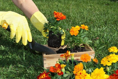 Sustainable garden maintenance practices