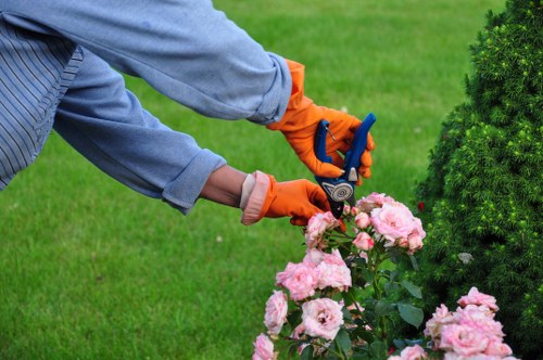 Why choose Gardening Mortlake services